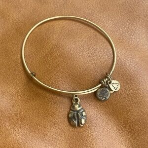 Lady bug Alex and Ani